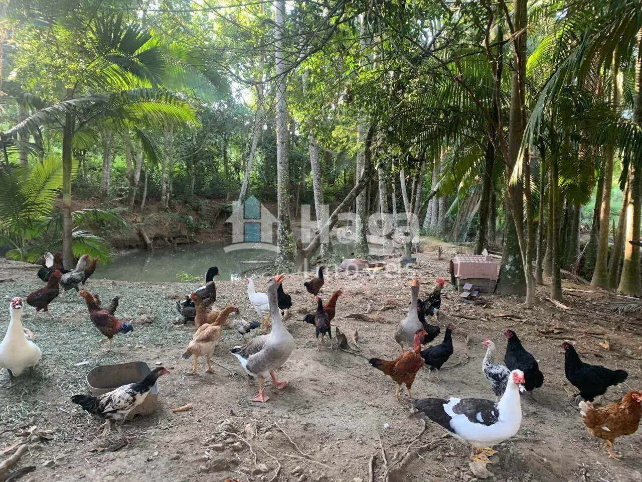 Country home for sale of 1 acres in Tijucas, SC, Brazil
