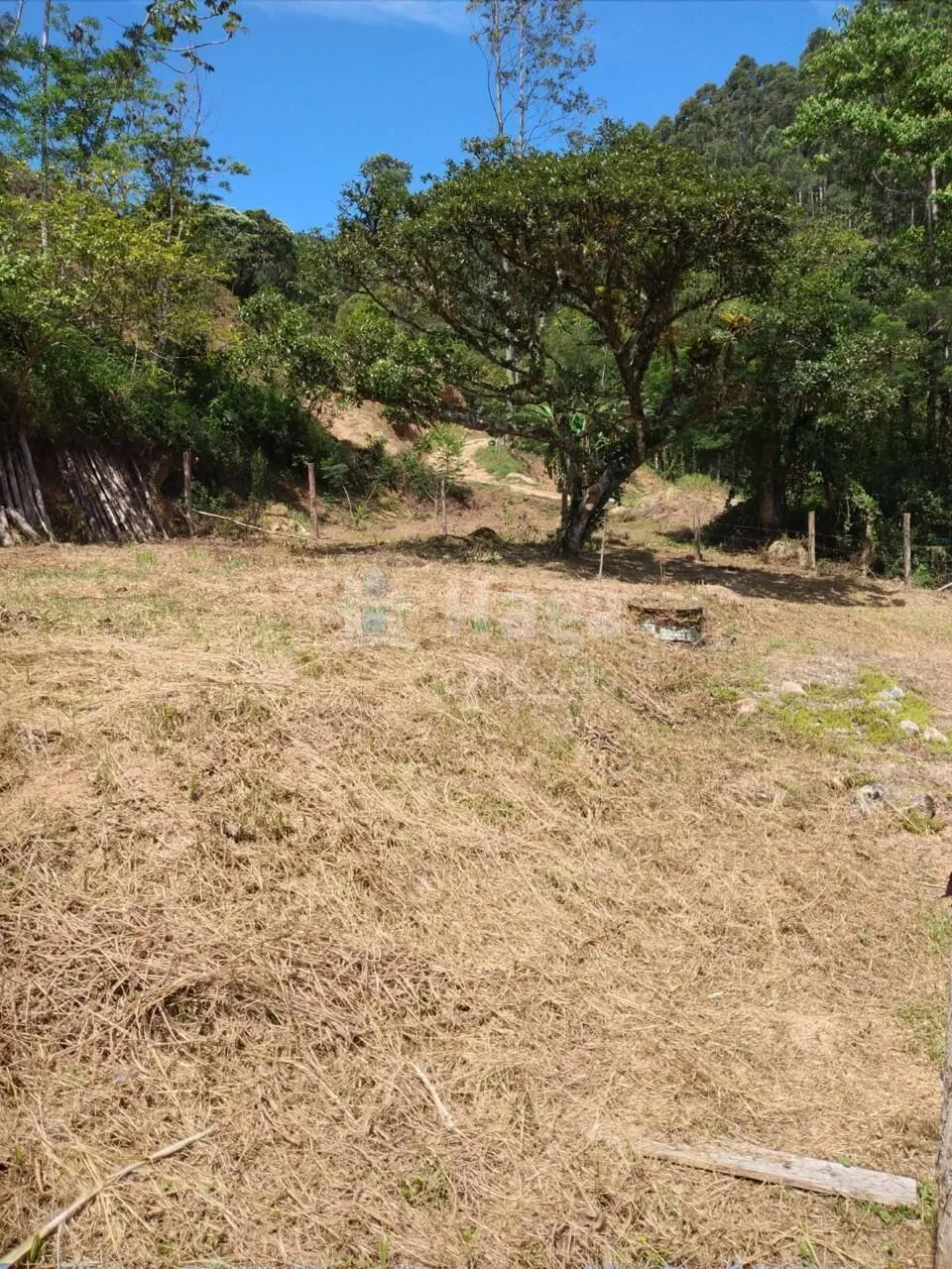 Terreno à venda de 4 ha em Brusque, SC, Brasil