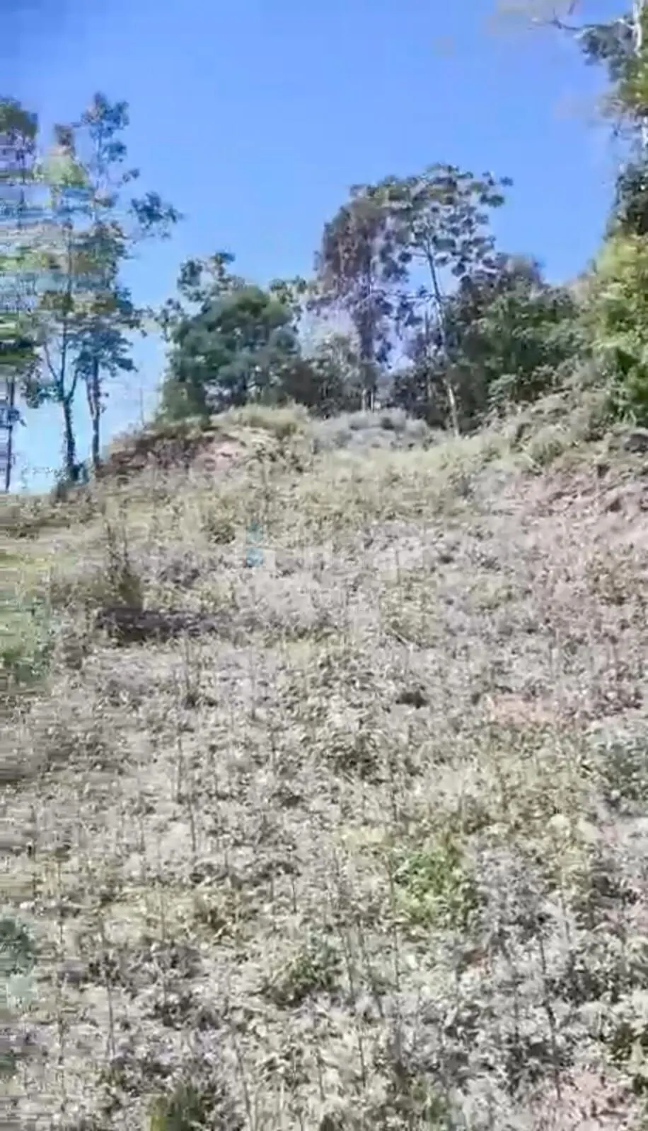 Terreno à venda de 4 ha em Brusque, SC, Brasil