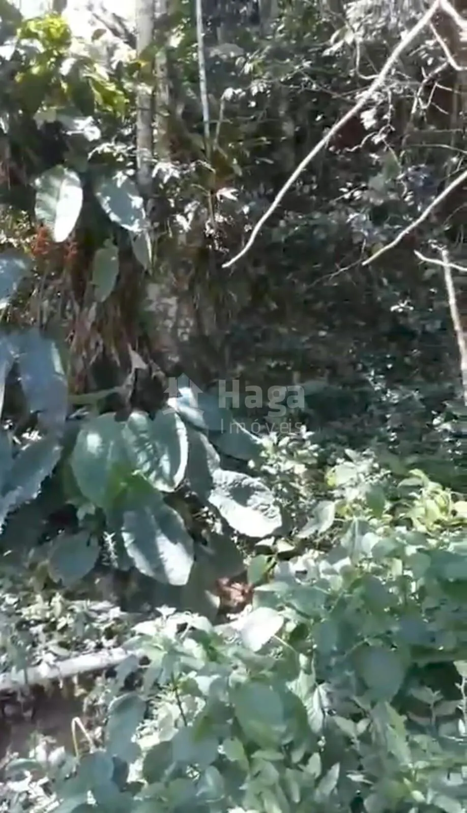 Terreno à venda de 4 ha em Brusque, SC, Brasil