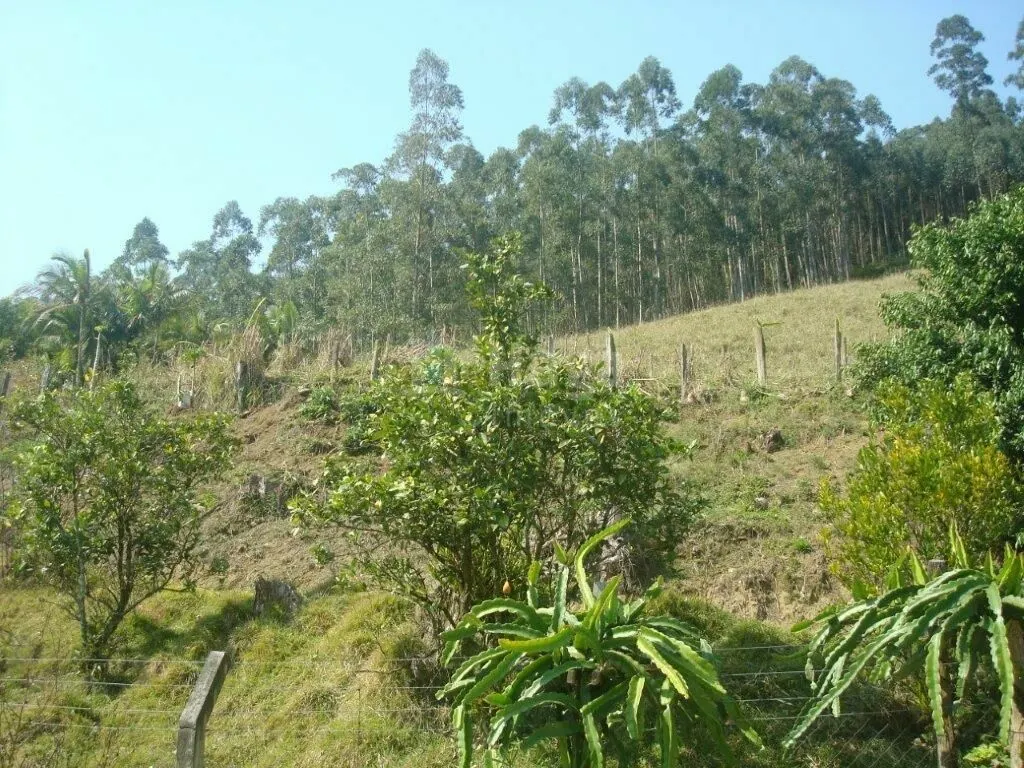 Fazenda à venda de 87 ha em Botuverá, SC, Brasil