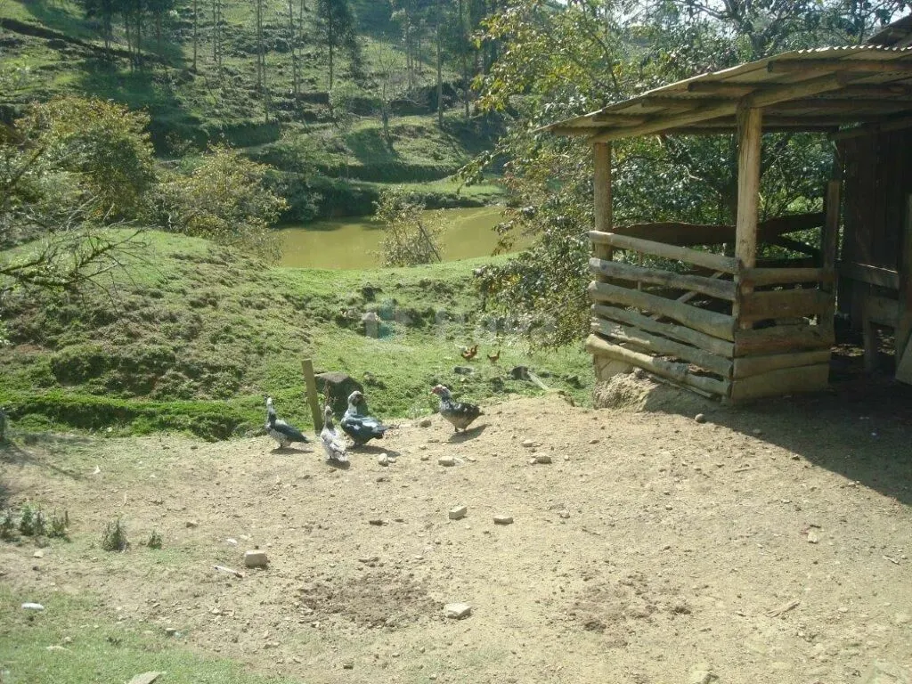 Fazenda à venda de 87 ha em Botuverá, SC, Brasil