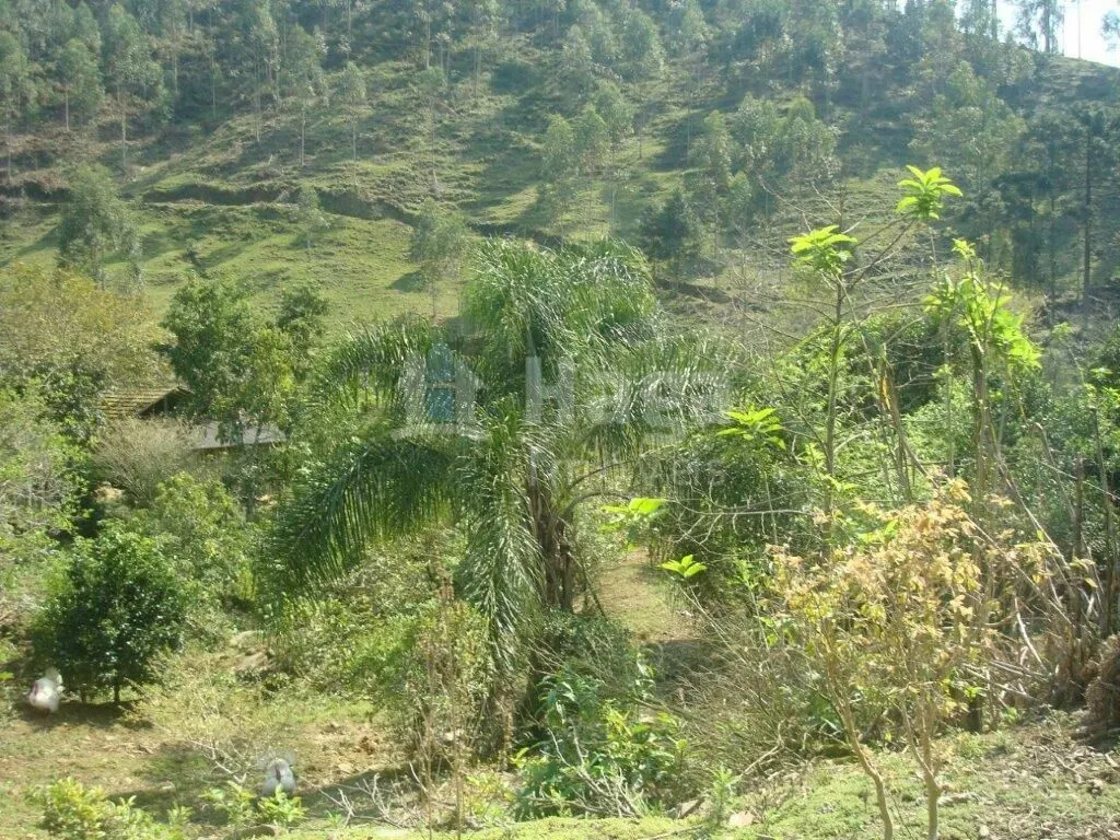 Fazenda à venda de 87 ha em Botuverá, SC, Brasil