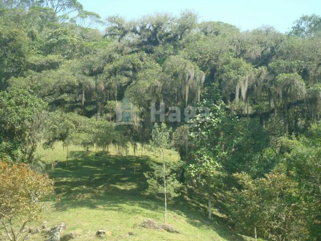 Fazenda à venda de 87 ha em Botuverá, SC, Brasil