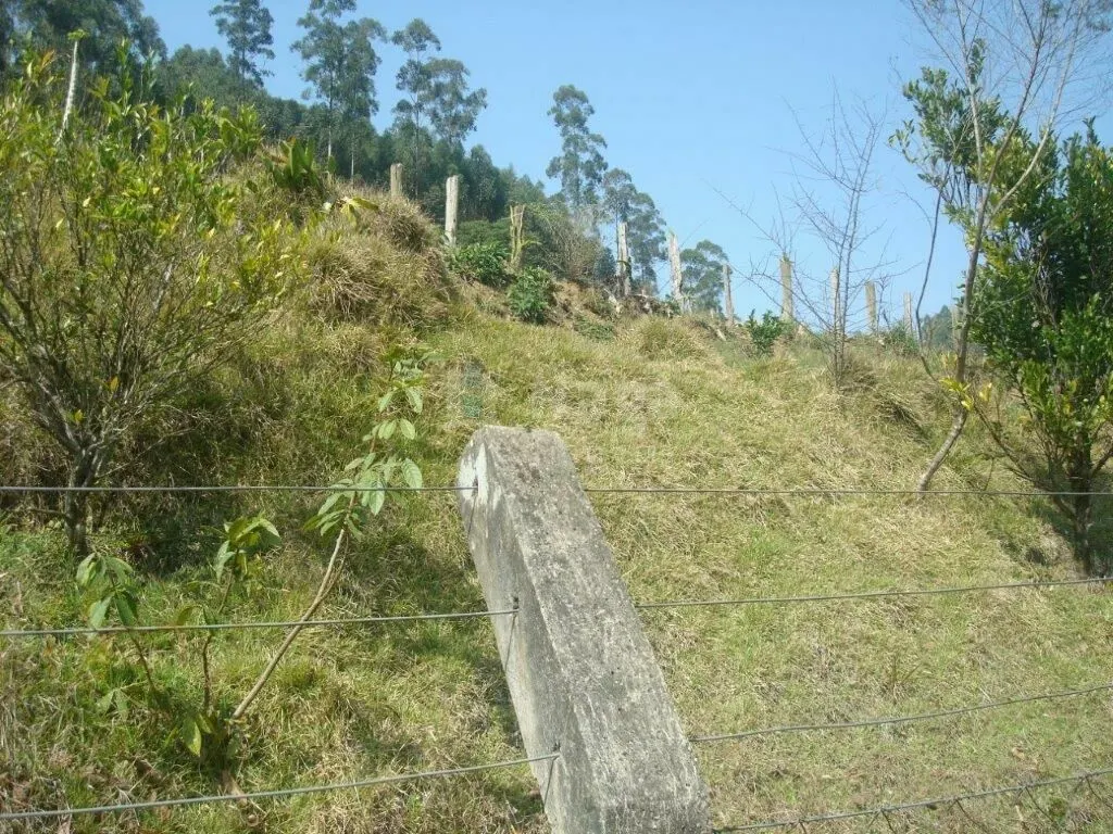 Fazenda à venda de 87 ha em Botuverá, SC, Brasil
