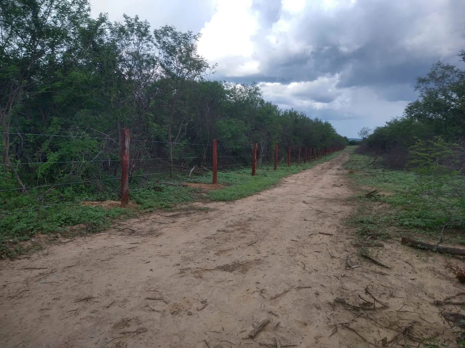 Fazenda à venda de 1.550 ha em Ibotirama, BA, Brasil