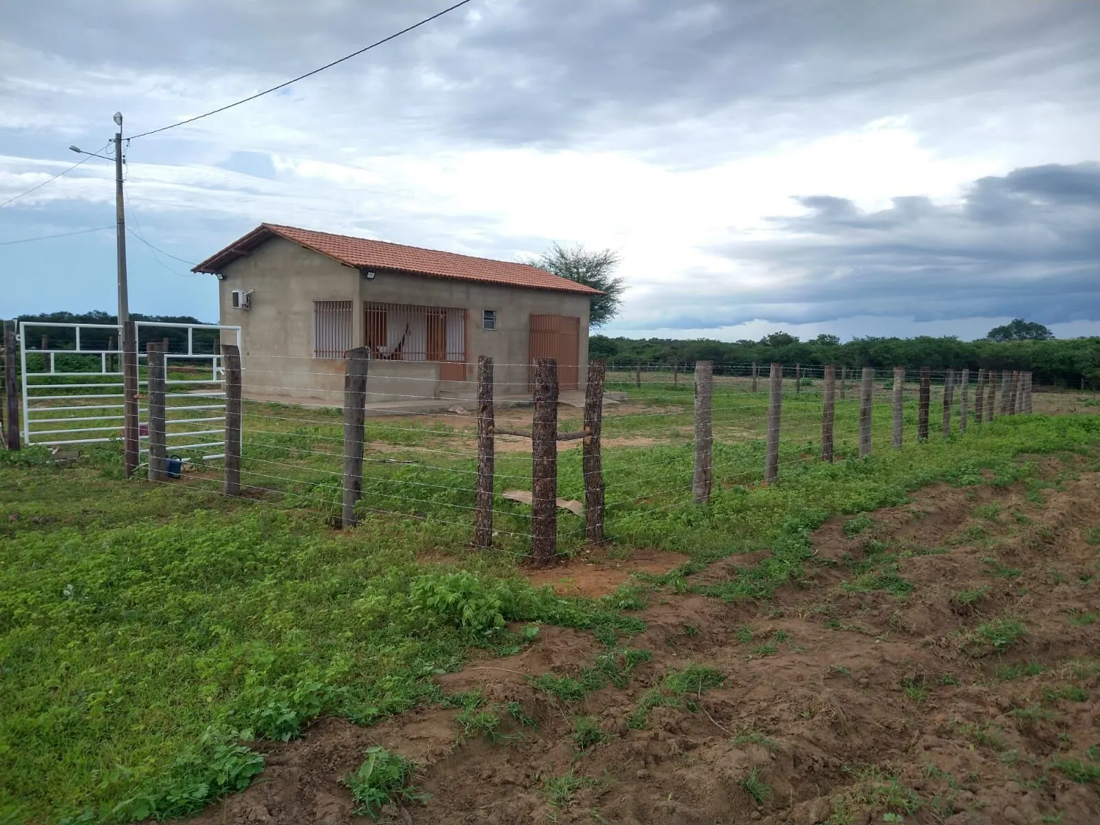 Fazenda à venda de 1.550 ha em Ibotirama, BA, Brasil