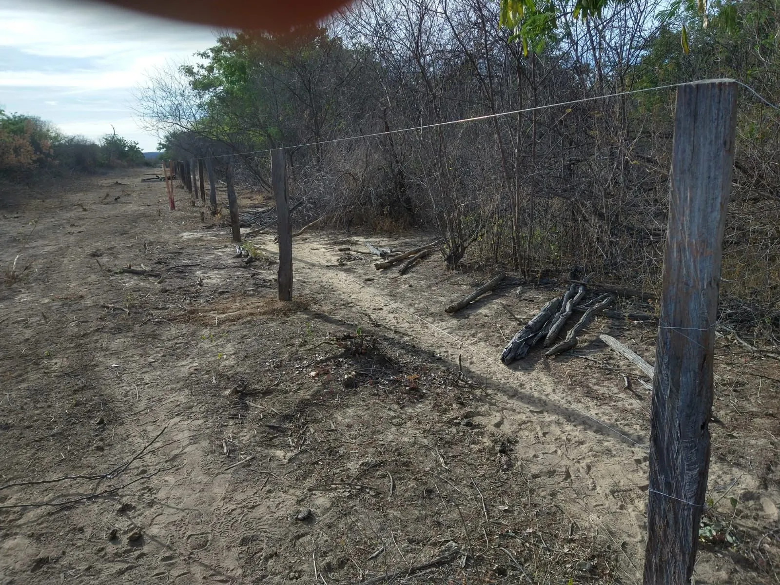 Fazenda à venda de 1.550 ha em Ibotirama, BA, Brasil