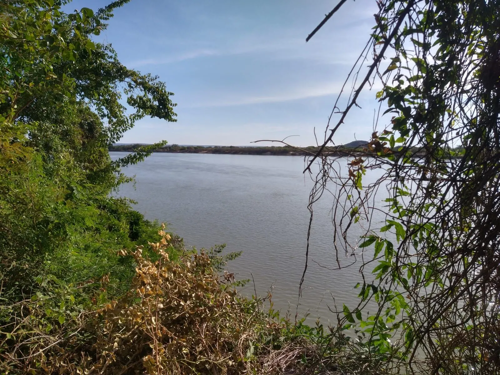 Fazenda à venda de 1.550 ha em Ibotirama, BA, Brasil