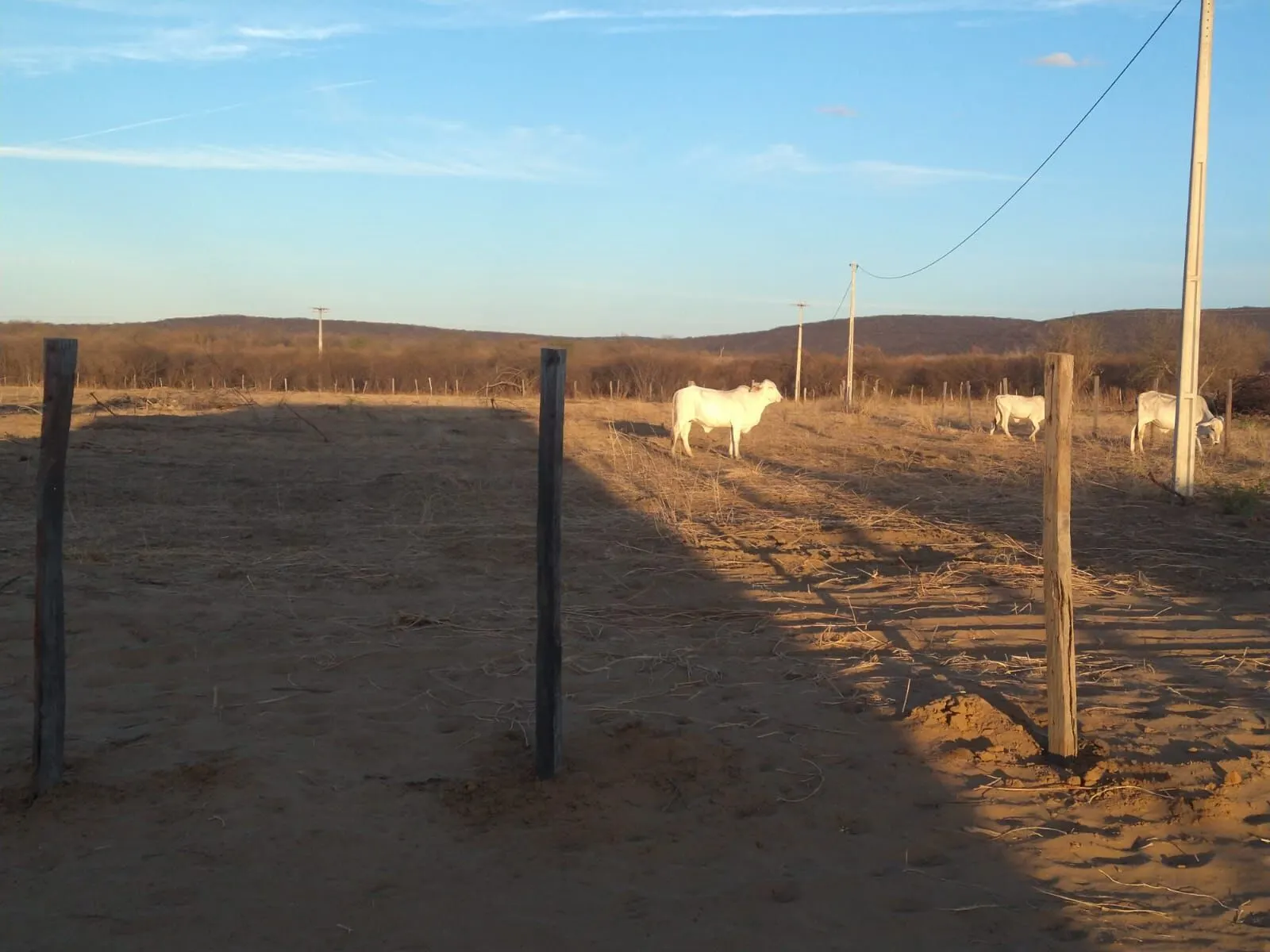 Fazenda à venda de 1.550 ha em Ibotirama, BA, Brasil