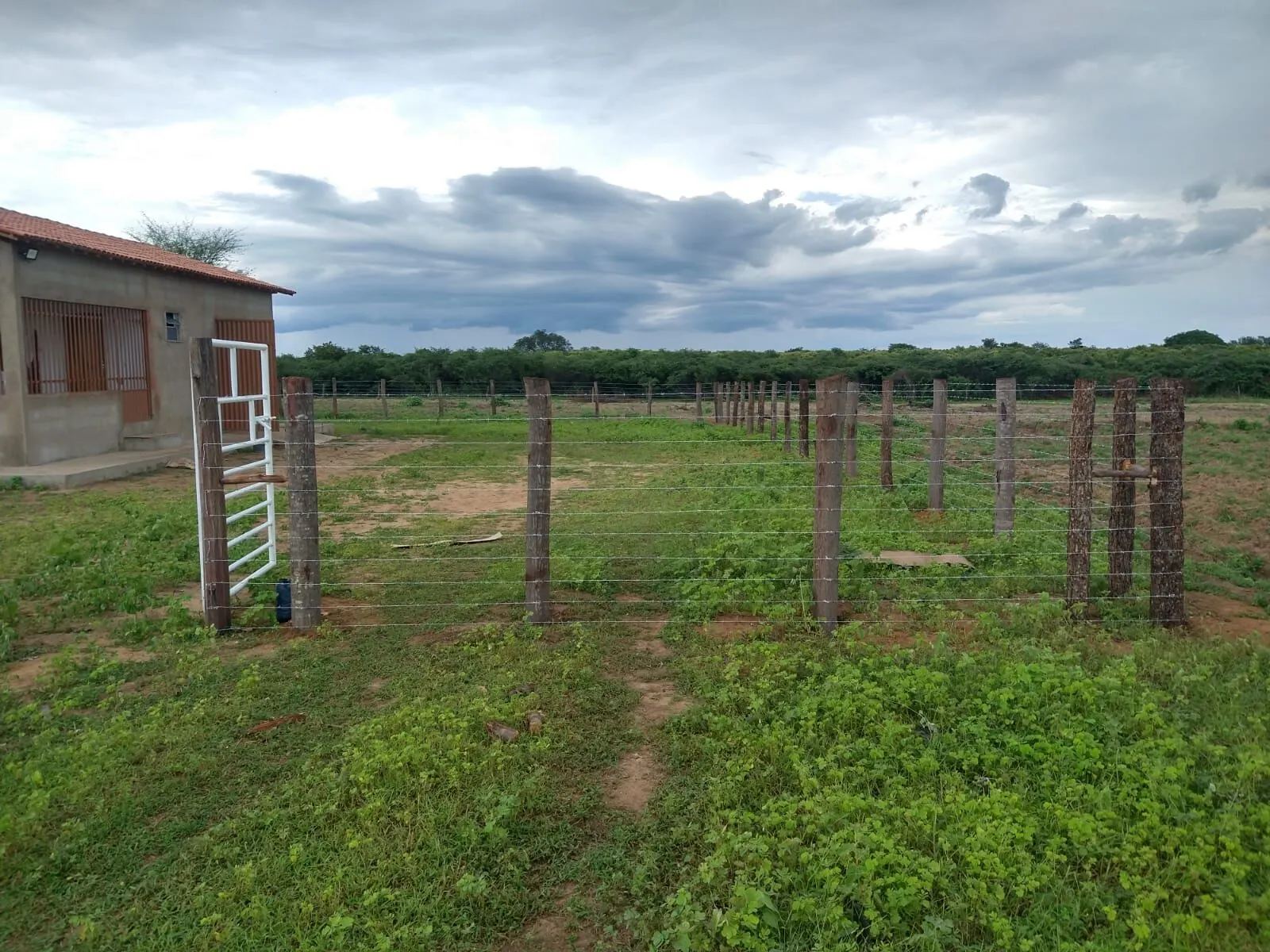Fazenda à venda de 1.550 ha em Ibotirama, BA, Brasil