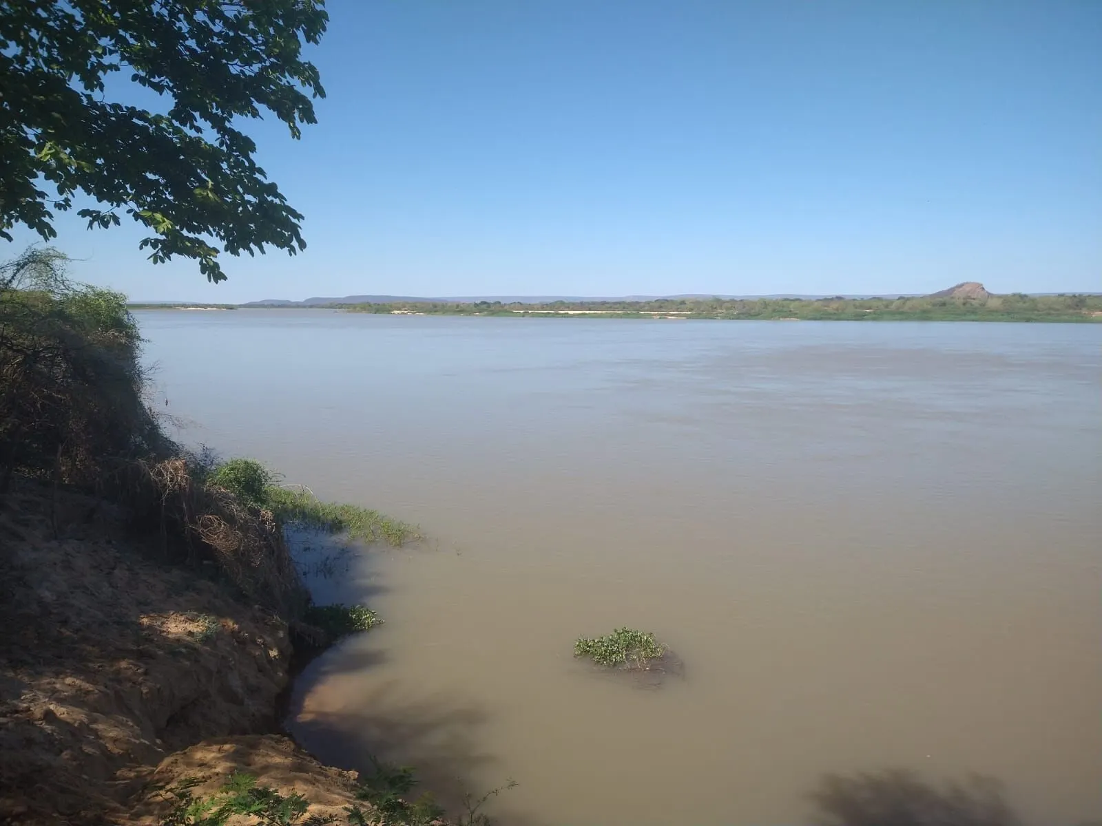 Fazenda à venda de 1.550 ha em Ibotirama, BA, Brasil