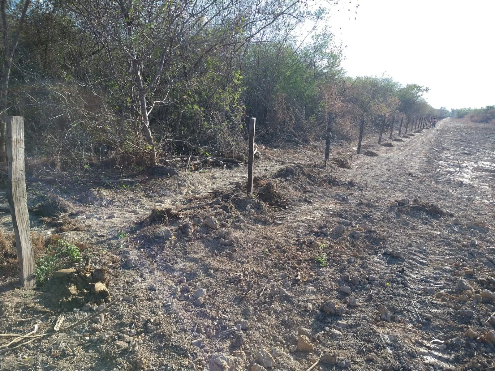 Fazenda à venda de 1.550 ha em Ibotirama, BA, Brasil