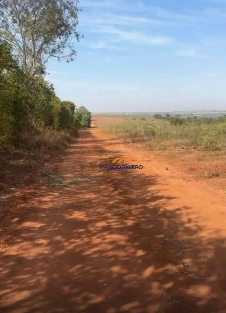Fazenda à venda de 121 ha em Pirassununga, SP, Brasil