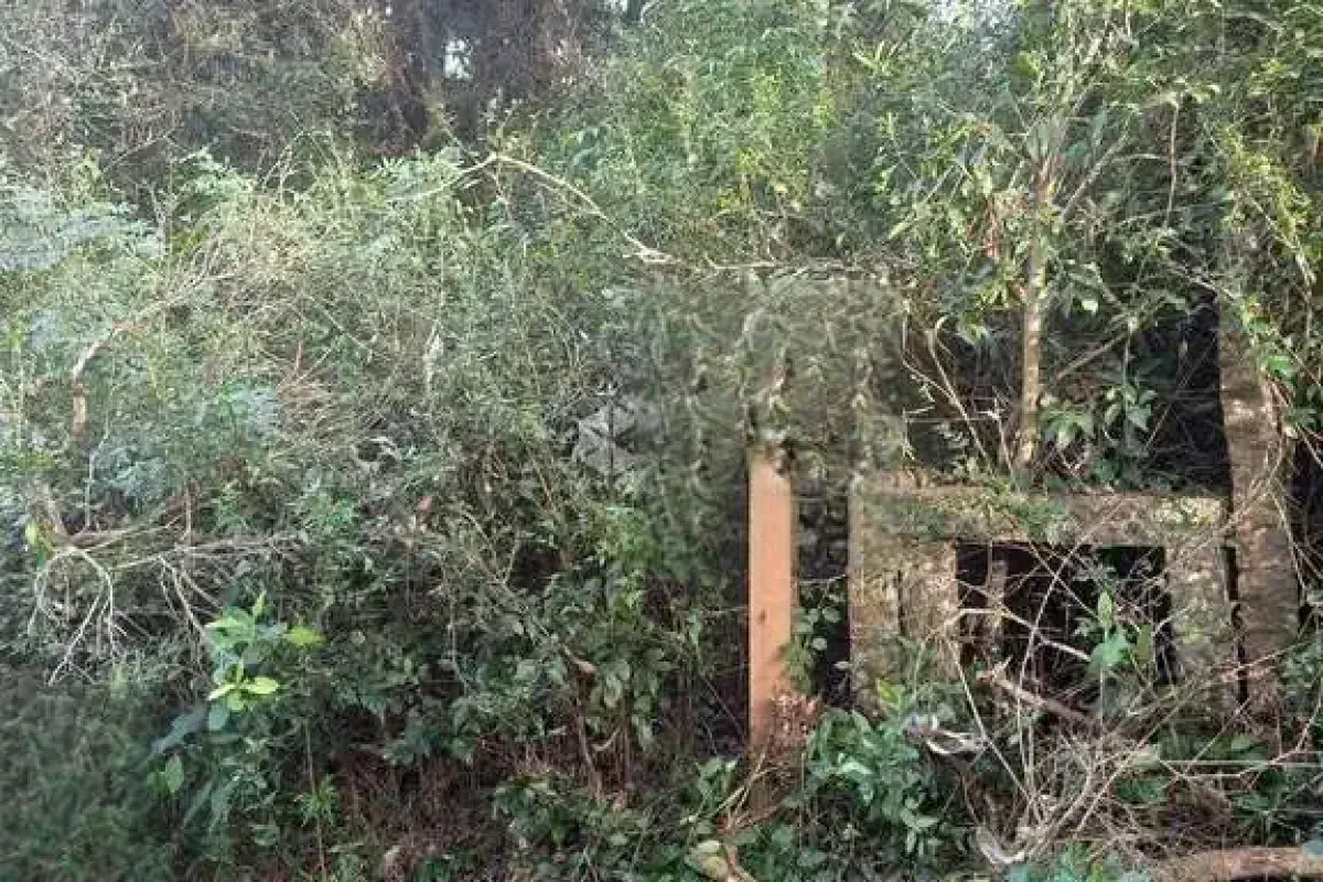 Terreno à venda de 5 ha em Porto Alegre, RS, Brasil