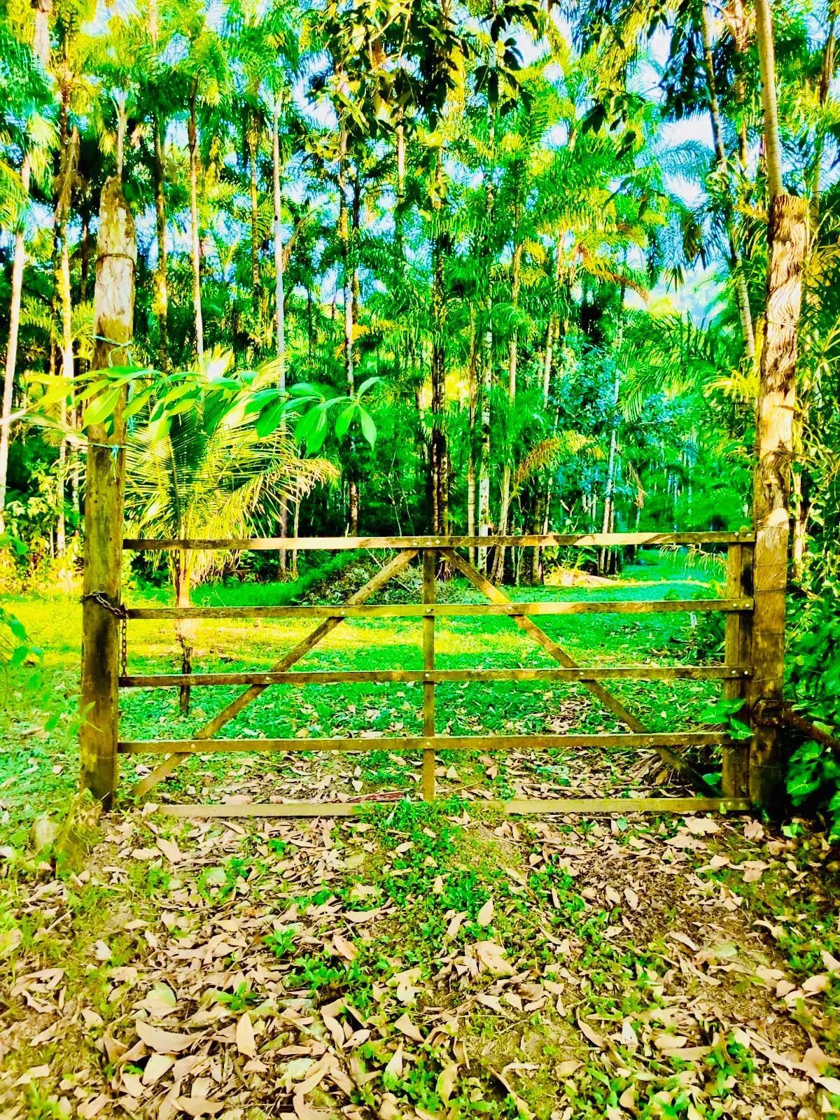 Small farm for sale of 32 acres in Itariri, SP, Brazil
