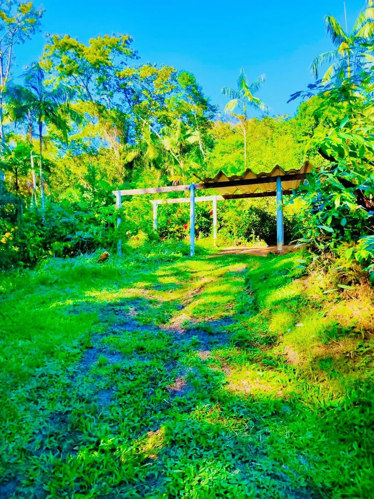 Small farm for sale of 32 acres in Itariri, SP, Brazil