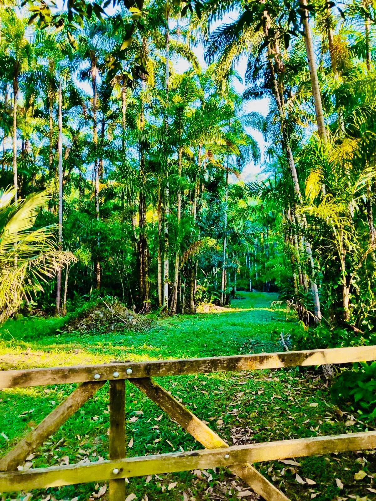 Small farm for sale of 32 acres in Itariri, SP, Brazil