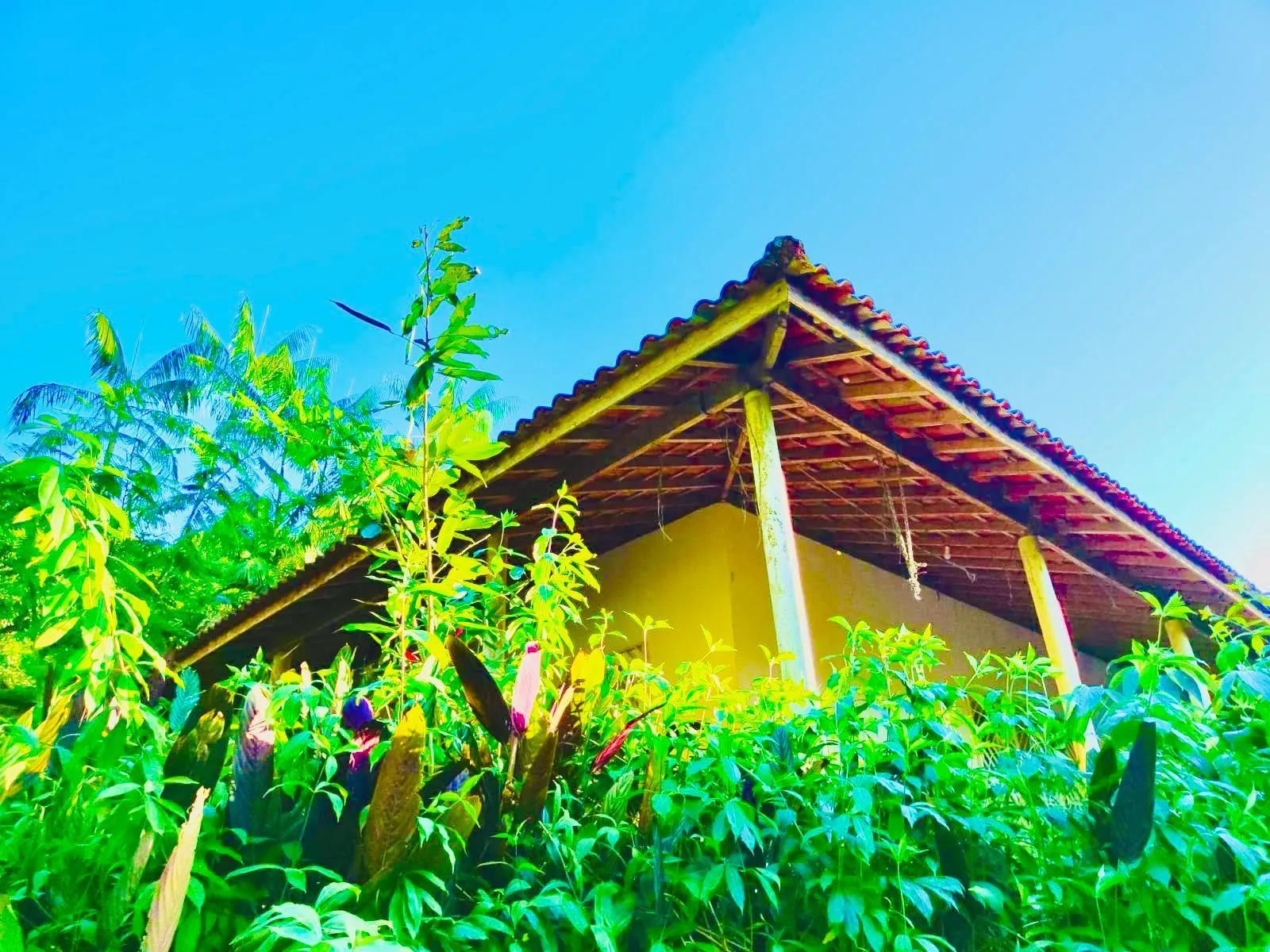 Small farm for sale of 32 acres in Itariri, SP, Brazil