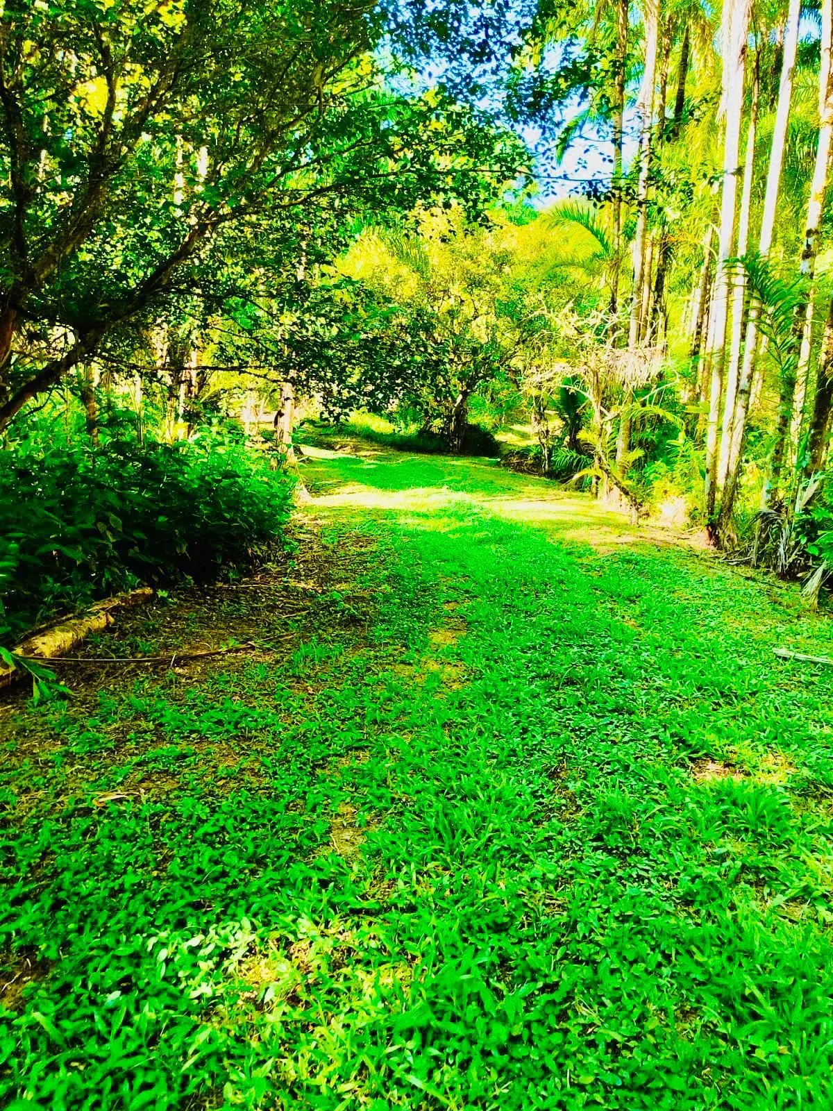 Small farm for sale of 32 acres in Itariri, SP, Brazil