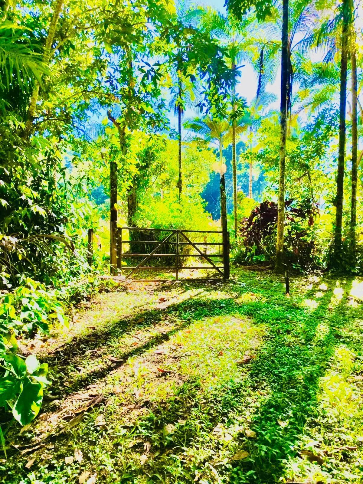 Small farm for sale of 32 acres in Itariri, SP, Brazil