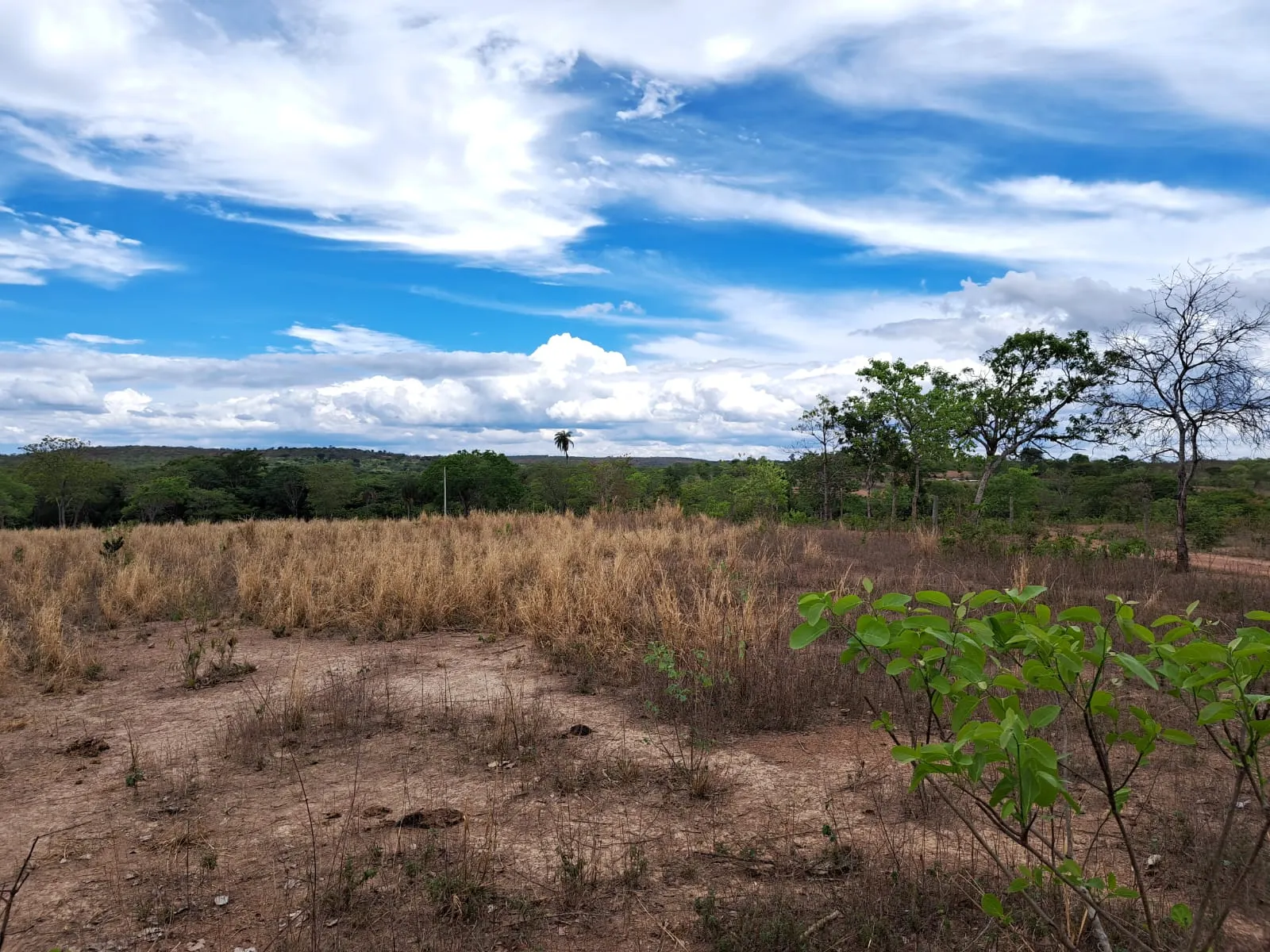 Fazenda à venda de 51 ha em Campo Azul, MG, Brasil