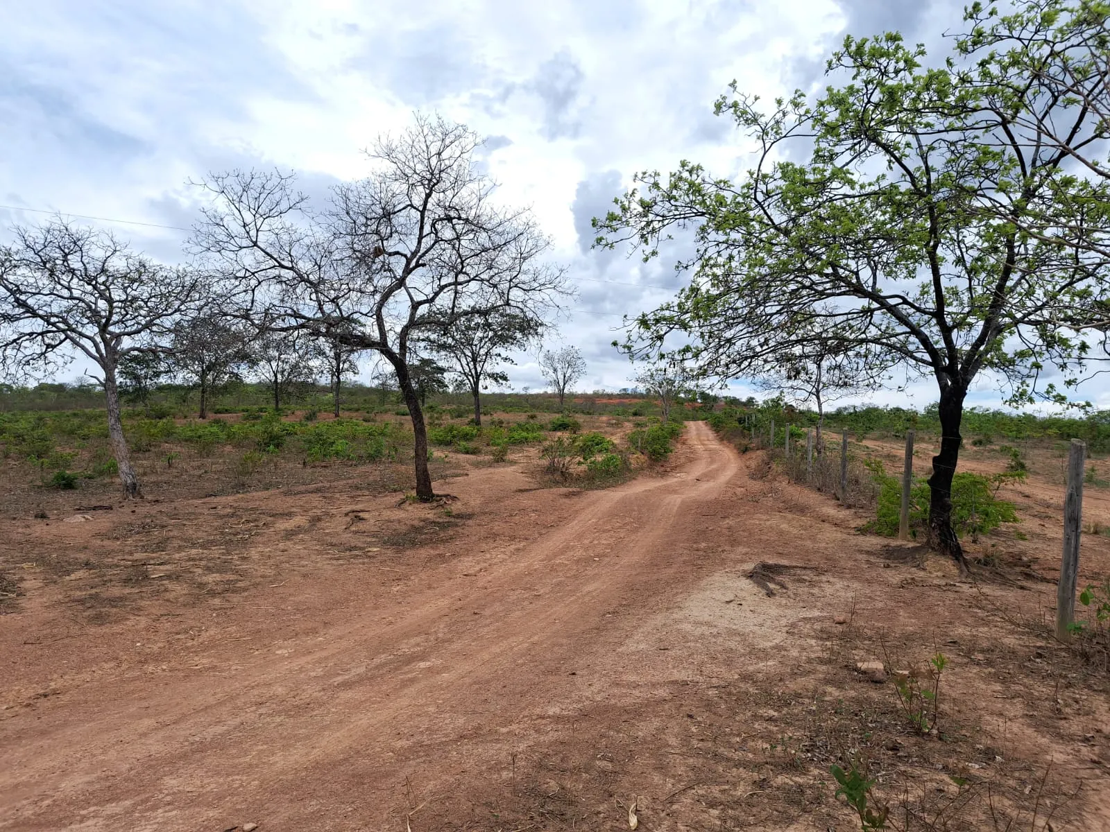 Fazenda à venda de 51 ha em Campo Azul, MG, Brasil