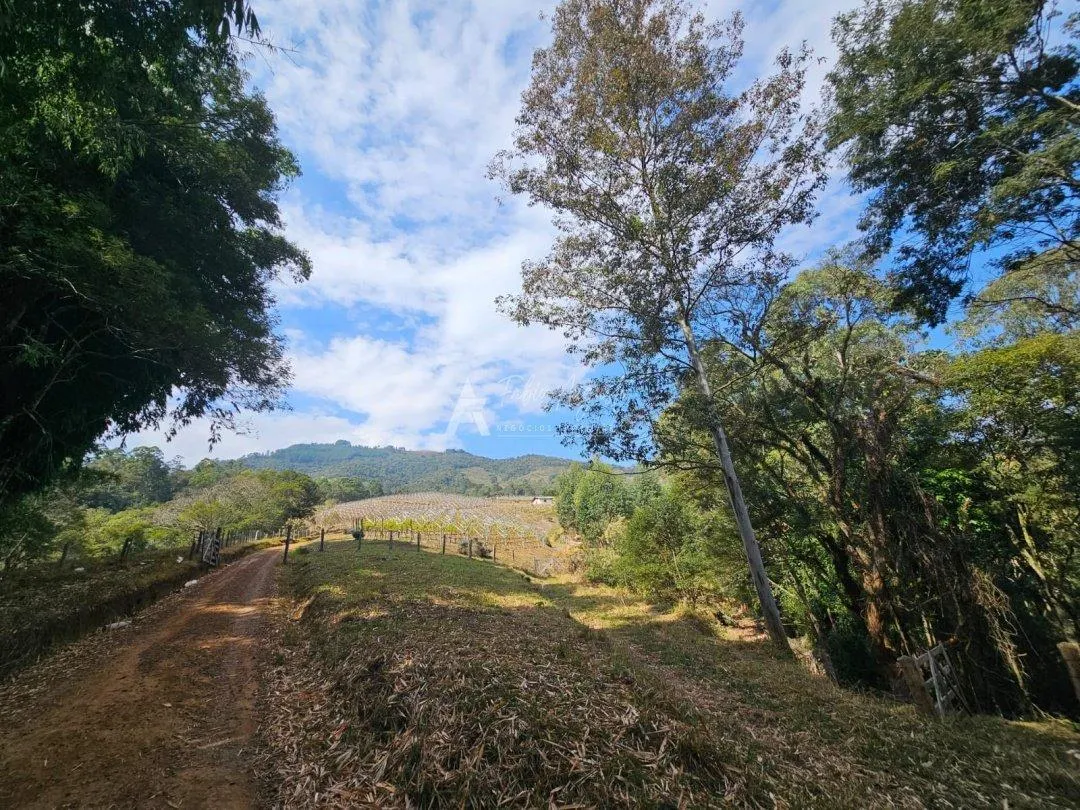 Fazenda à venda de 79 ha em São Bento do Sapucaí, SP, Brasil