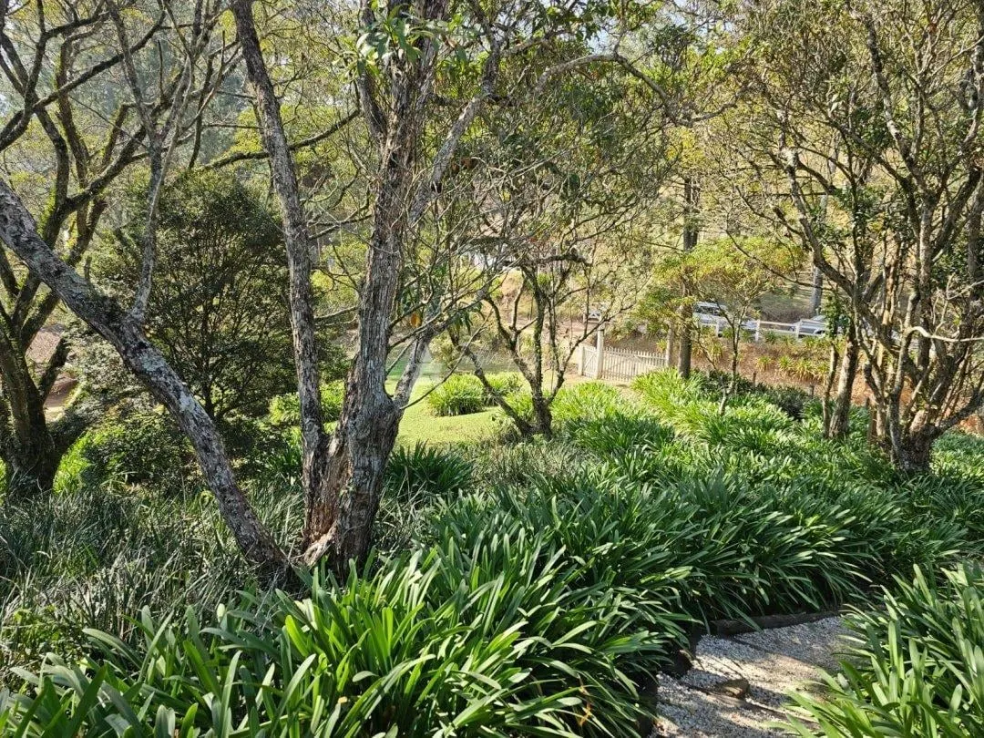 Fazenda à venda de 79 ha em São Bento do Sapucaí, SP, Brasil