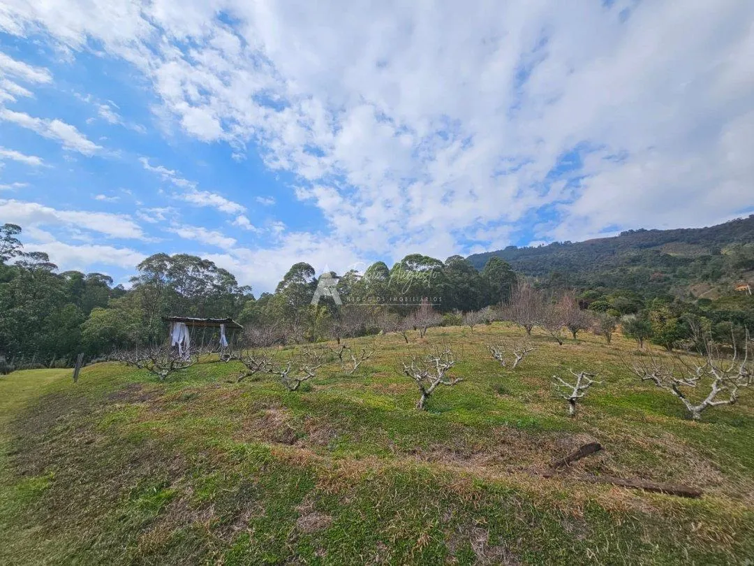 Fazenda à venda de 79 ha em São Bento do Sapucaí, SP, Brasil
