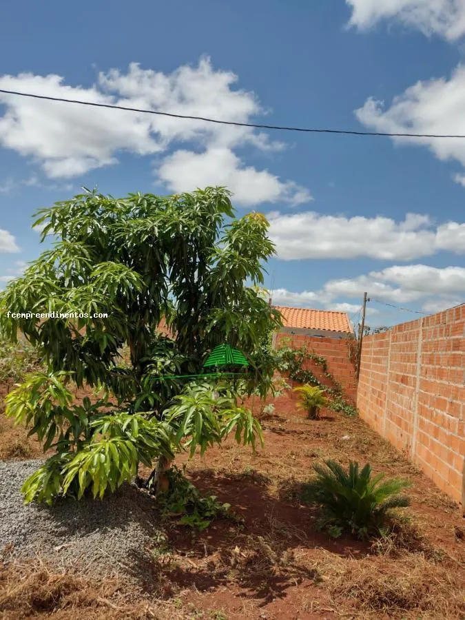 Fazenda à venda de 1.200 ha em Limeira, SP, Brasil