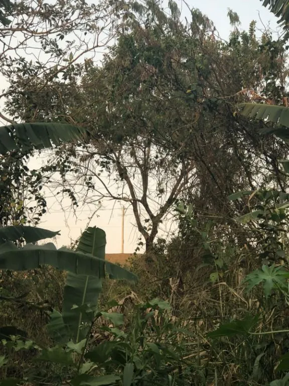 Terreno à venda e para Arrendar de 4.770 m² em São José dos Campos, SP, Brasil