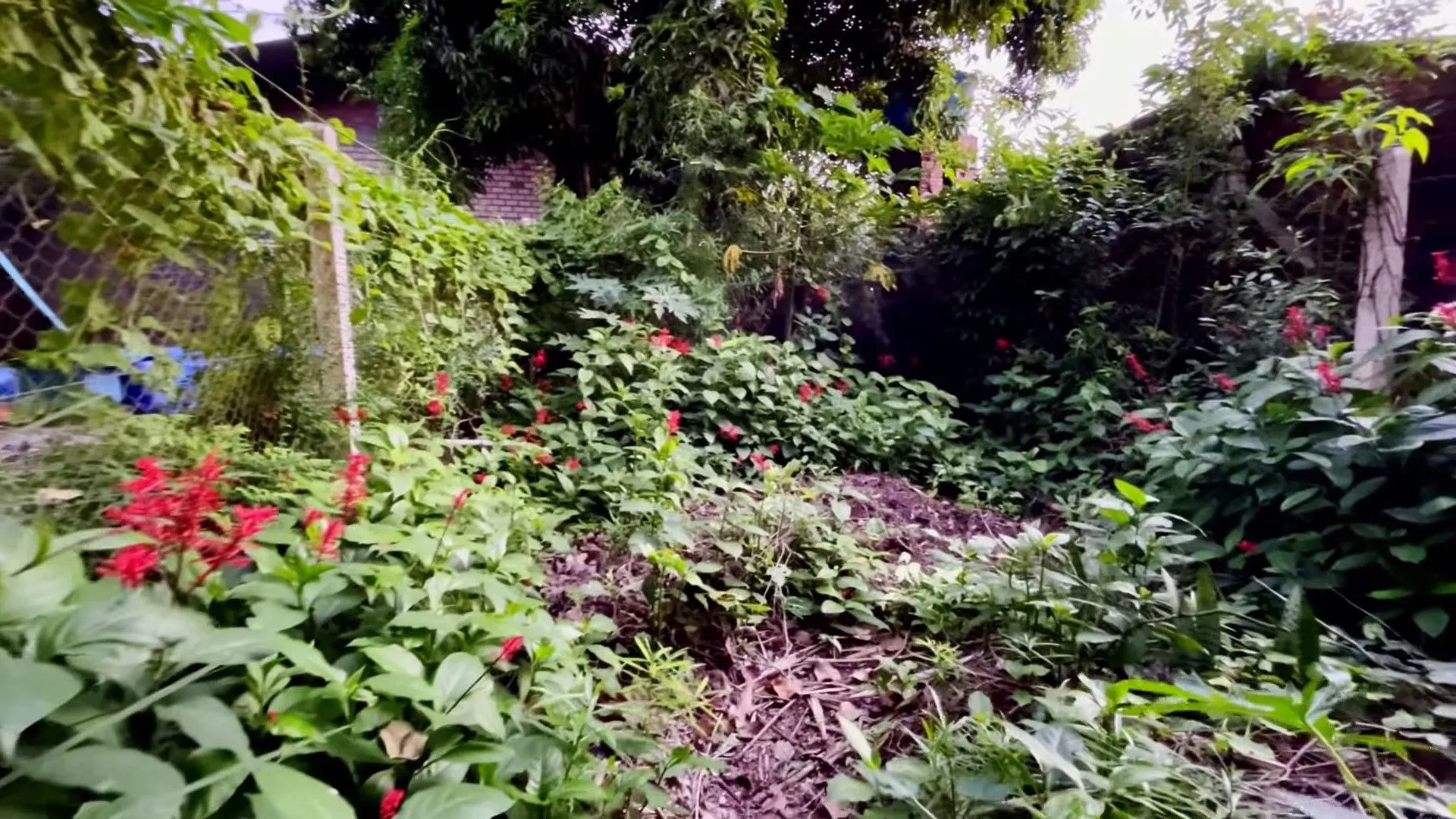 Plot for sale of 1,027 m² in Campo Bom, RS, Brazil