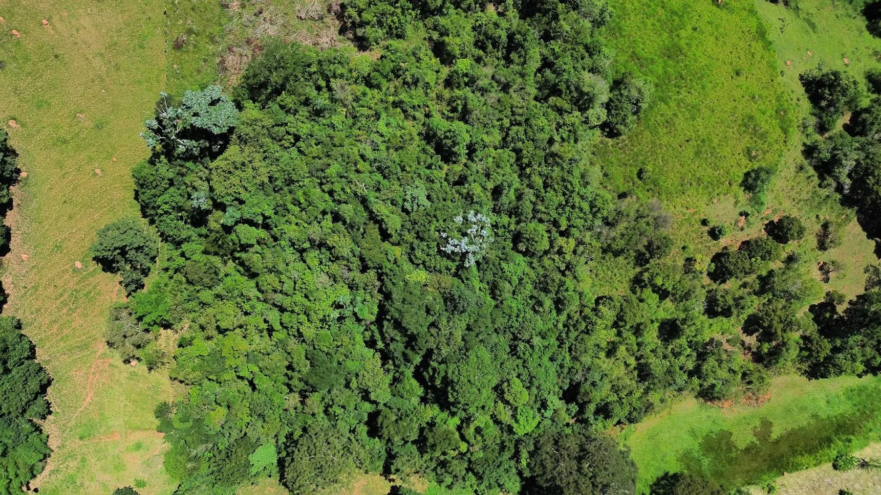 Sítio à venda de 5 ha em São Luiz do Paraitinga, SP, Brasil