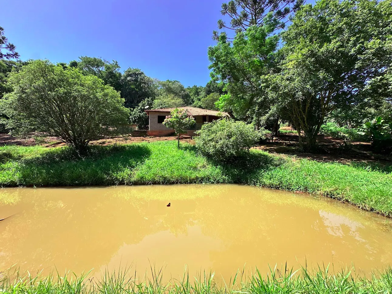 Sítio à venda de 5 ha em São Luiz do Paraitinga, SP, Brasil