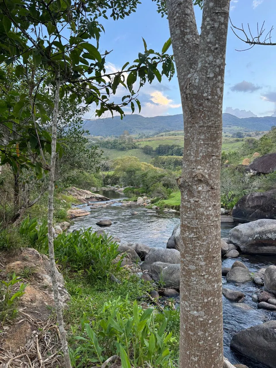 Terreno à venda e para Arrendar de 2 ha em Itamonte, MG, Brasil