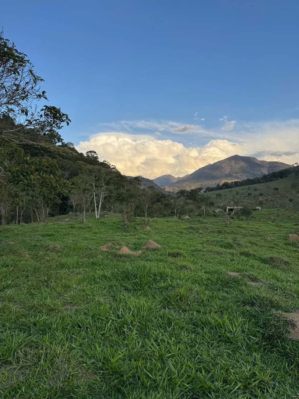 Terreno à venda e para Arrendar de 2 ha em Itamonte, MG, Brasil