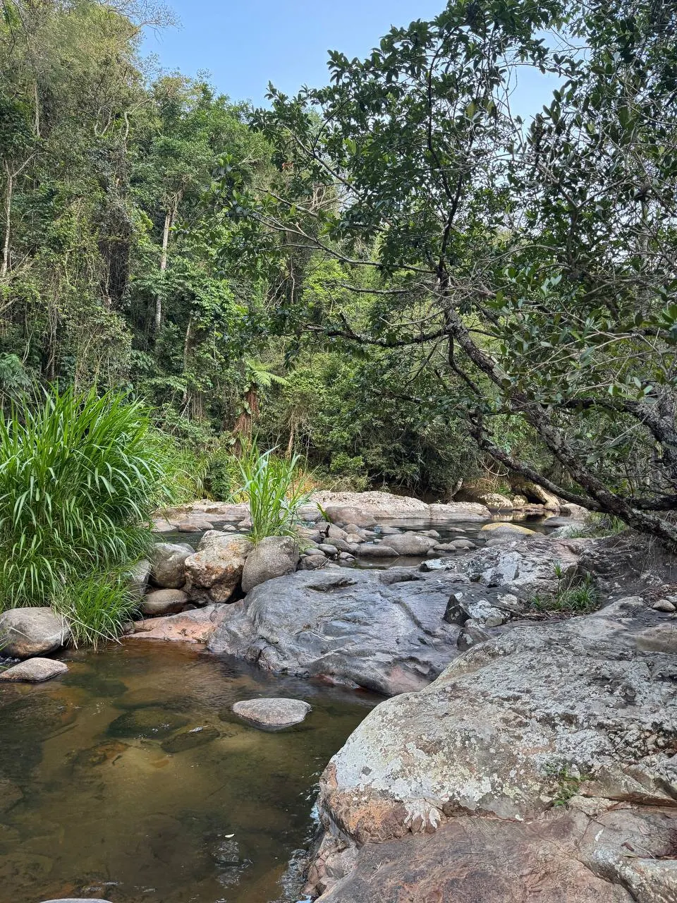 Terreno à venda e para Arrendar de 2 ha em Itamonte, MG, Brasil