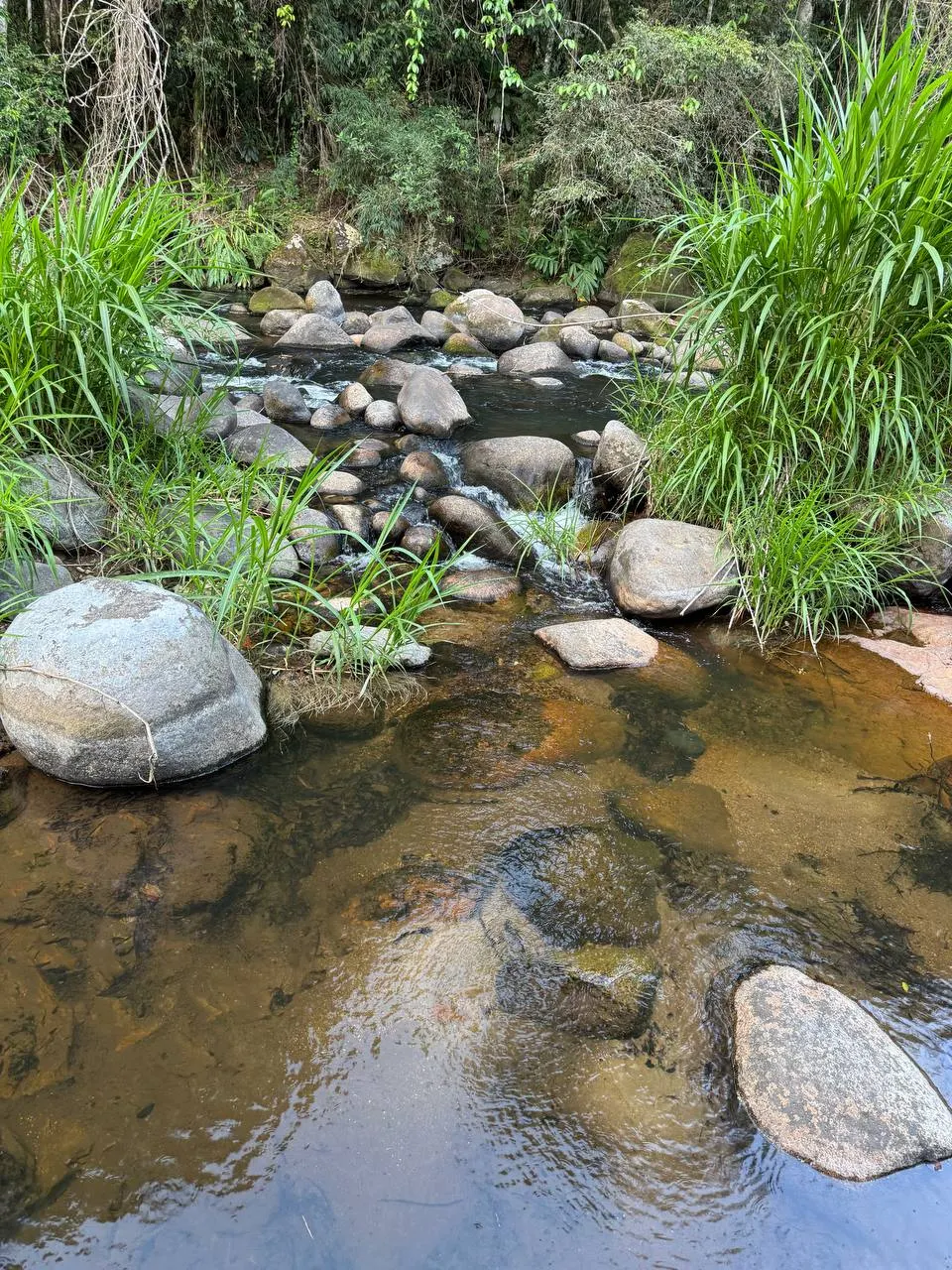 Terreno à venda e para Arrendar de 2 ha em Itamonte, MG, Brasil
