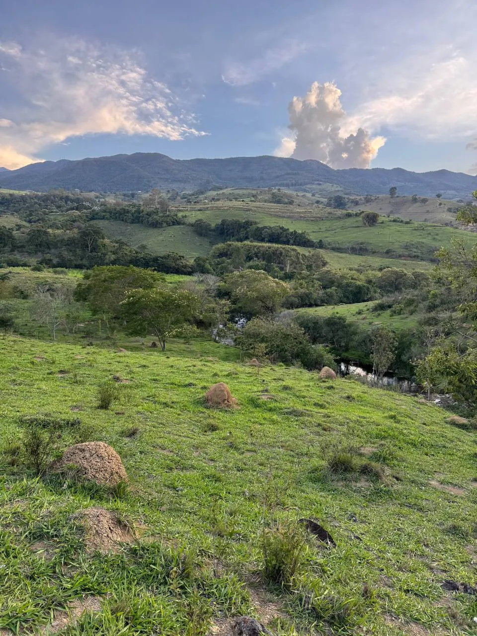Terreno à venda e para Arrendar de 2 ha em Itamonte, MG, Brasil