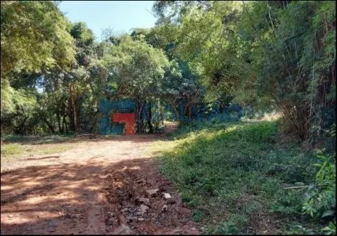 Sítio à venda de 4 ha em Jarinu, SP, Brasil