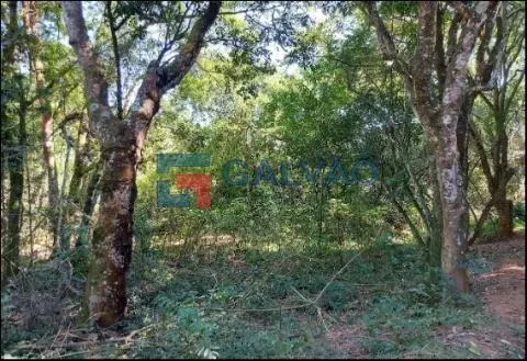 Sítio à venda de 4 ha em Jarinu, SP, Brasil