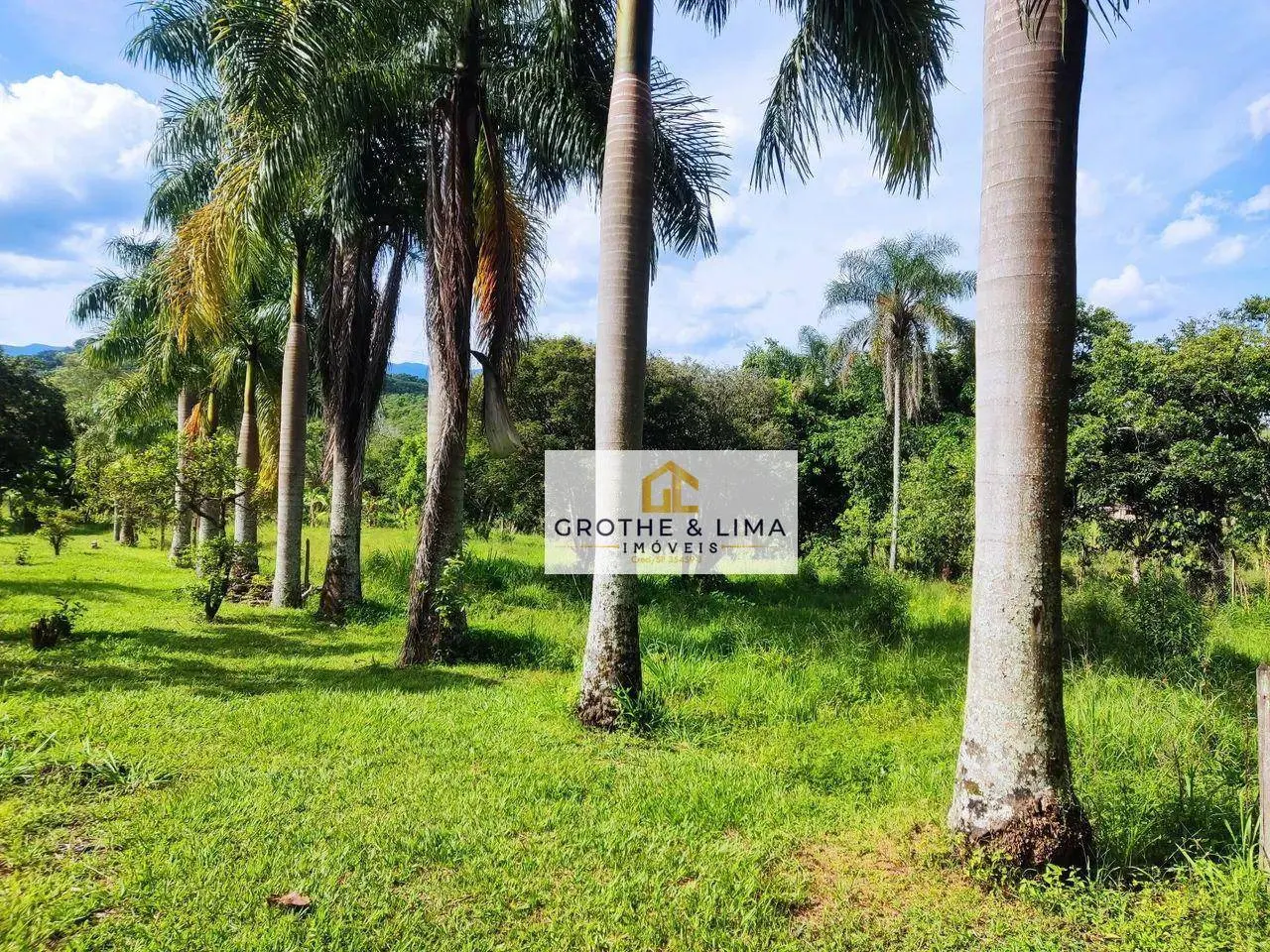 Sítio à venda e para Arrendar de 1 ha em Pindamonhangaba, SP, Brasil