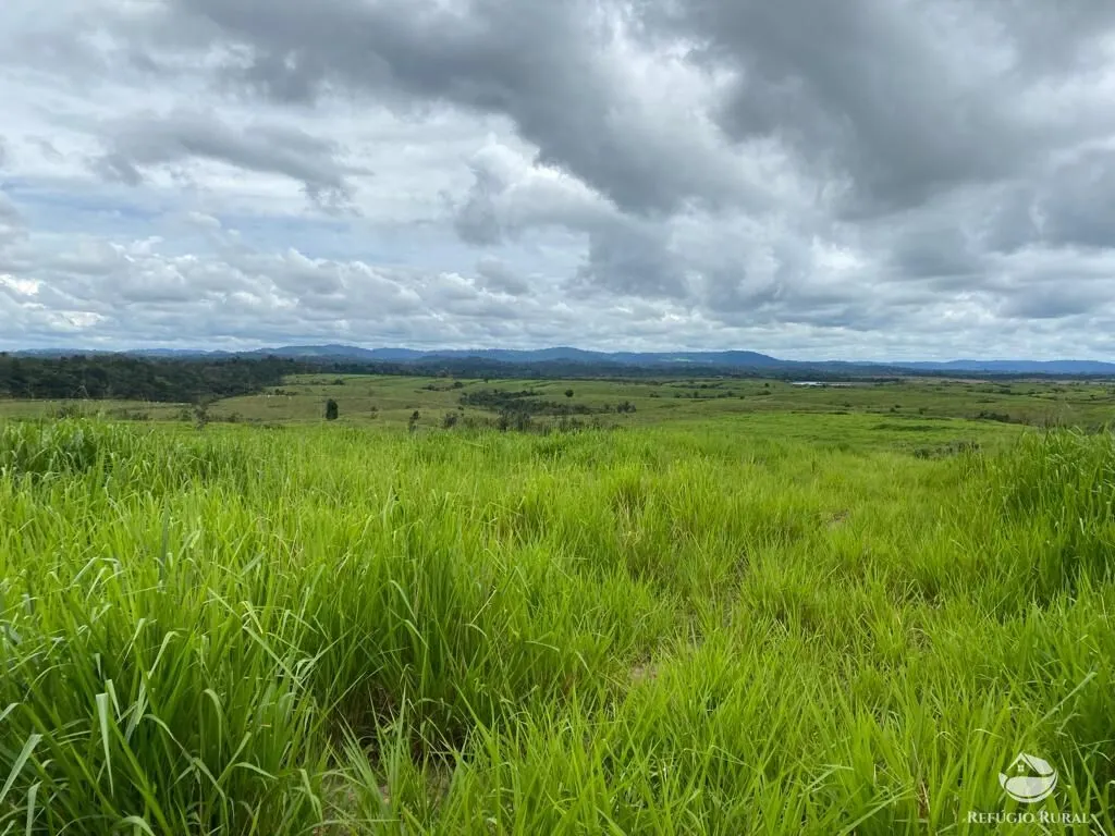 Farm for sale of 9,983 acres in Trairão, PA, Brazil