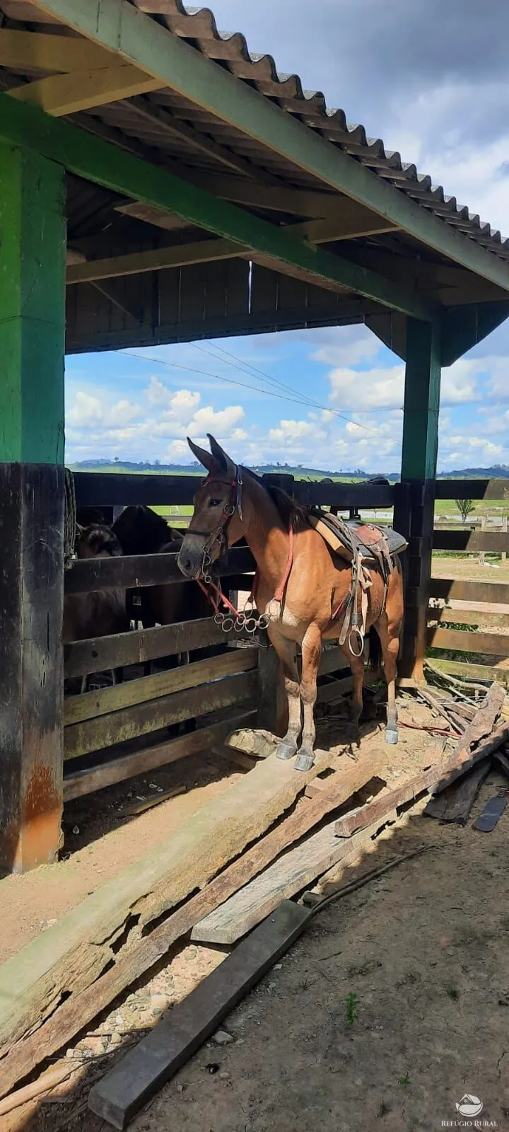 Farm for sale of 9,983 acres in Trairão, PA, Brazil