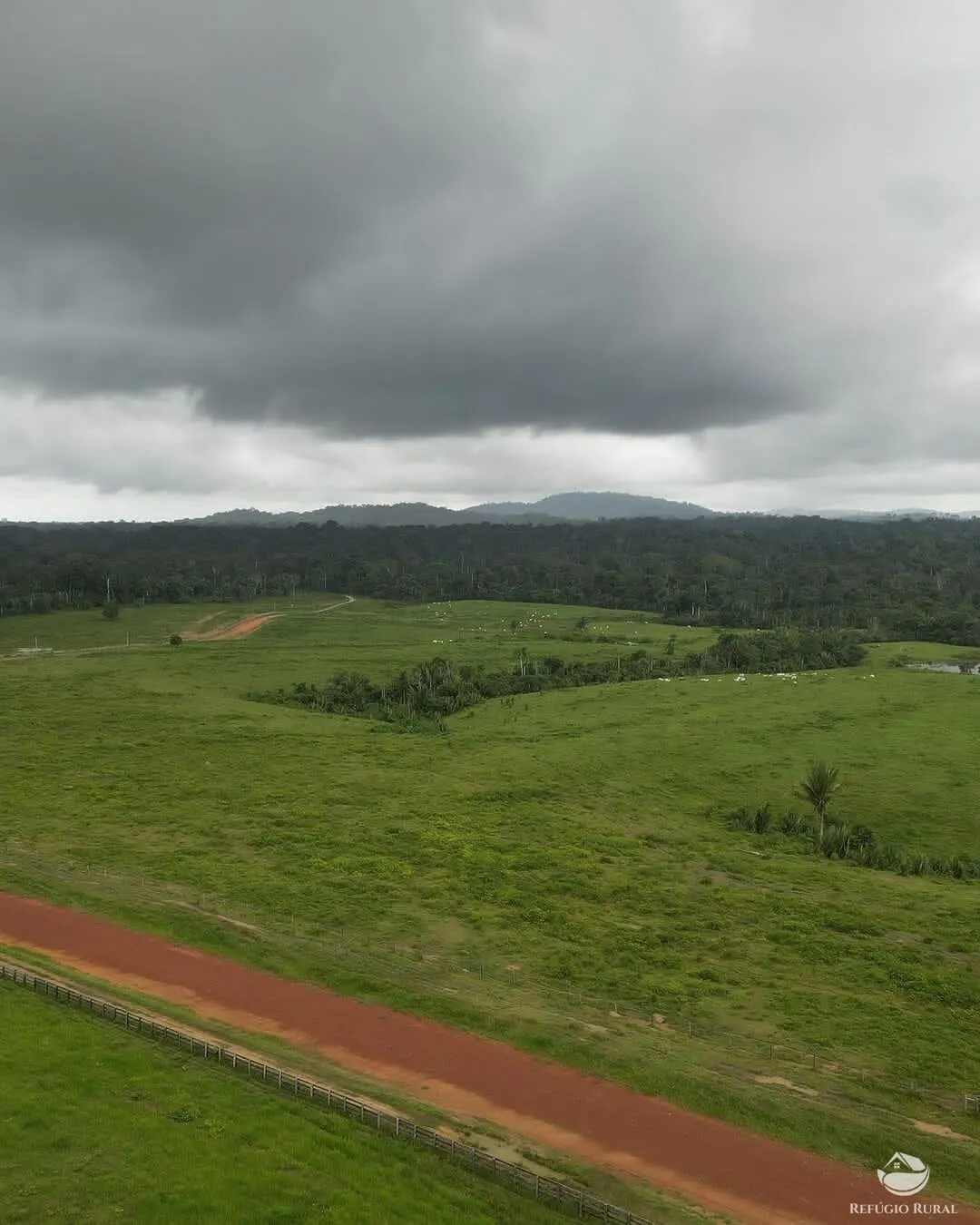 Farm for sale of 9,983 acres in Trairão, PA, Brazil