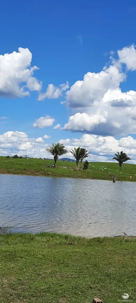 Farm for sale of 9,983 acres in Trairão, PA, Brazil
