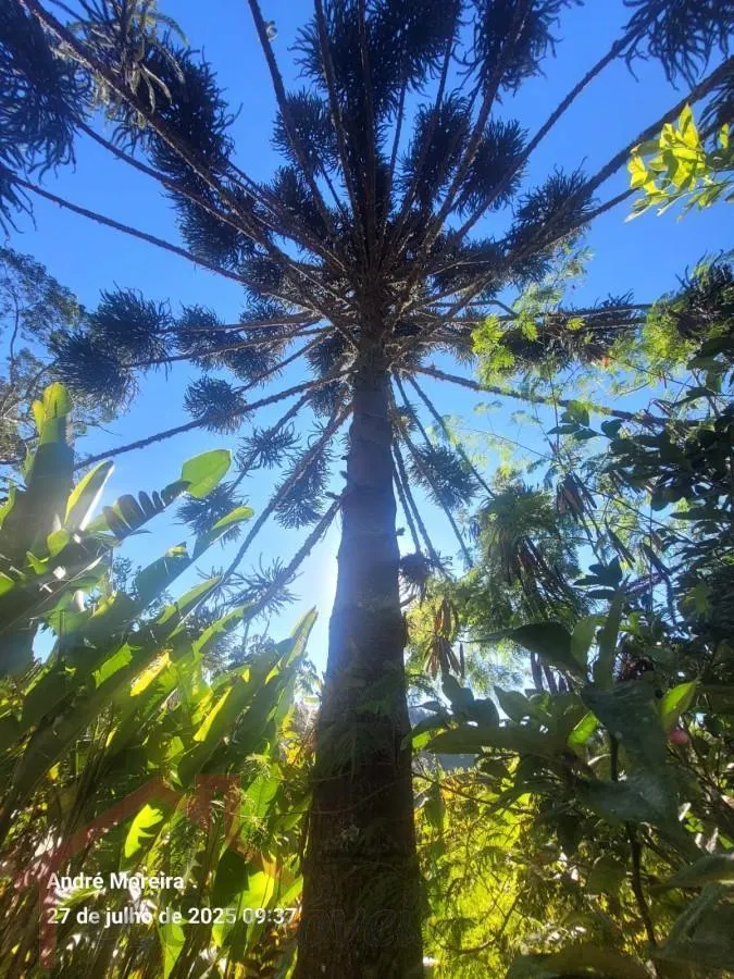 Small farm for sale of 8 acres in Salesópolis, SP, Brazil