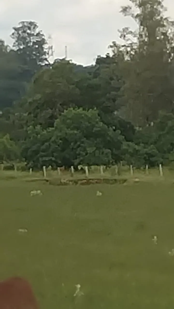 Fazenda à venda de 2 ha em Cesário Lange, SP, Brasil