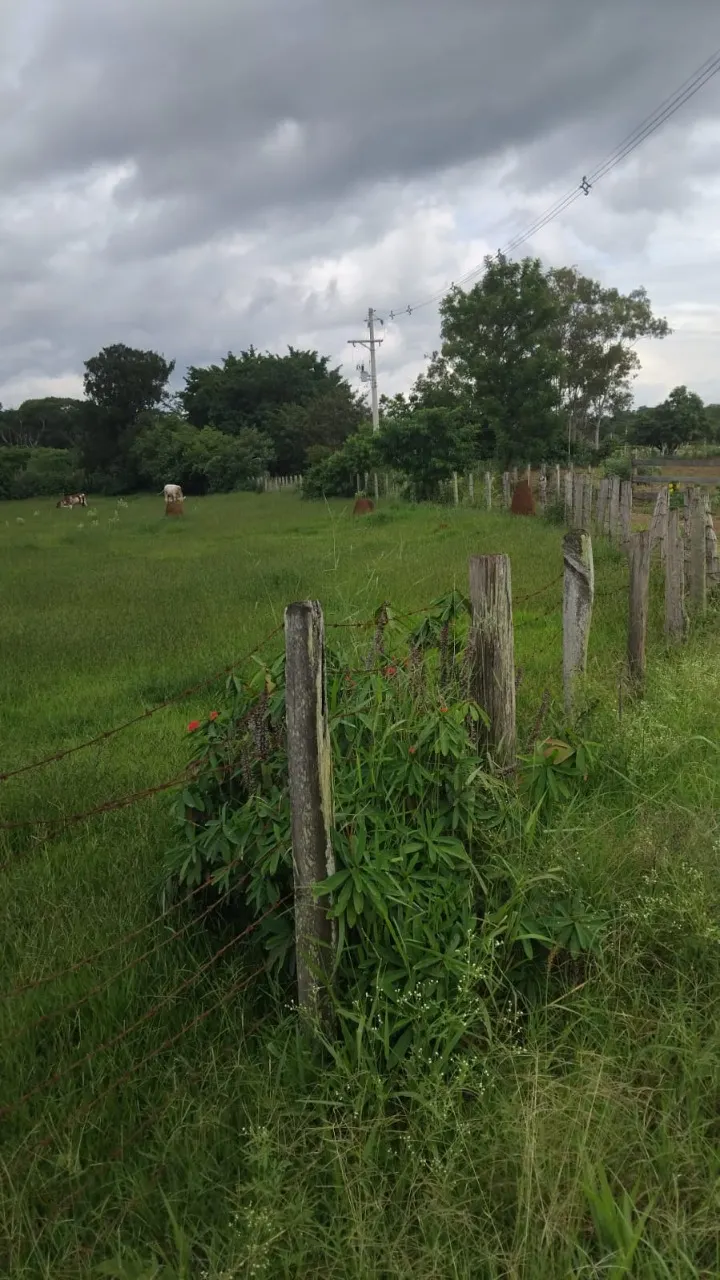 Fazenda à venda de 2 ha em Cesário Lange, SP, Brasil
